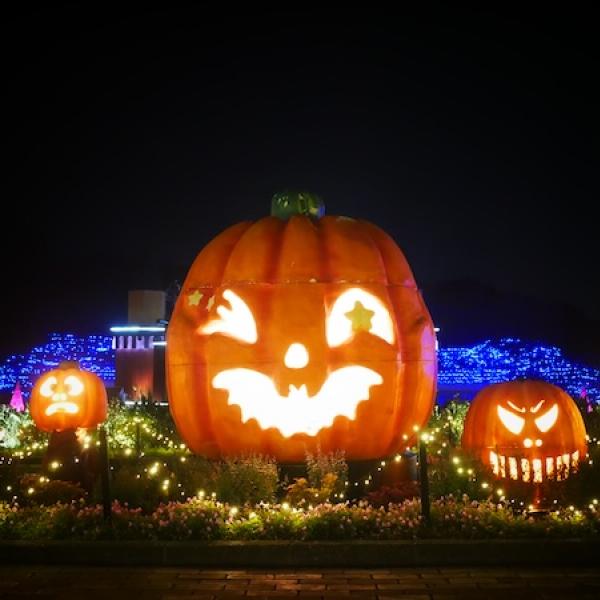 どんぐりアート♡ハロウィン＆お月見リバーシブルオブジェ＆BIGハロウィンオブジェ どんぐりアート♡ハロウィン＆お月見リバーシブルオブジェ＆BIG