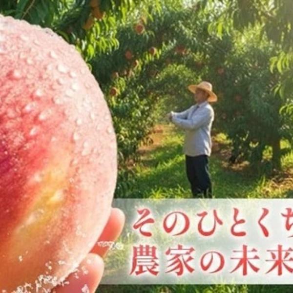和歌山県紀の川市が、GCFで桃を育てる農家支援を目的とした
