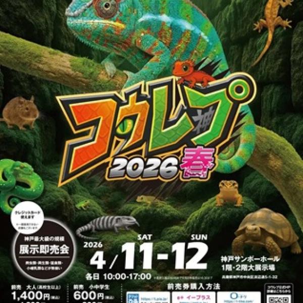 兵庫県神戸市】爬虫類や両生類、猛禽類も登場する体験型展示即売会
