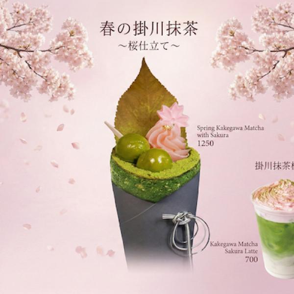 大阪府大阪市】「浅草茶屋たばねのし 大阪心斎橋店」に春限定の