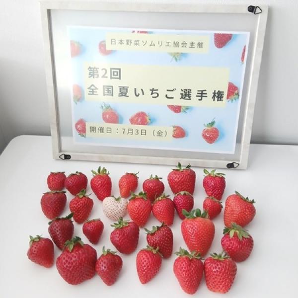 奈良県天理市】おいしい夏いちご日本一が天理市の「カジュレアの古都華