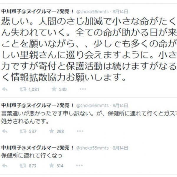 「保健所に連れて行くなっ」で大炎上の中川翔子さん　「過去に野良猫を量産していた」の指摘も