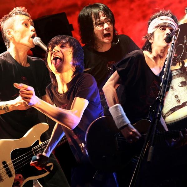 ザ・クロマニヨンズ/ザ・クロマニヨンズ TOUR ガンボ インフェルノ 201… DISCOGRAPHY(ディスコグラフィ) | ザ・クロマニヨンズ(THE CRO