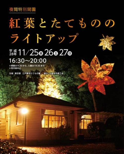 今週どこ行く 東京都内近郊おすすめイベント １１月２１日 １１月２７日 無料あり ガジェット通信 Getnews