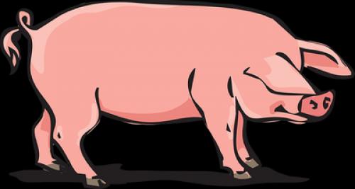 豚肉を世界で一番食べている国はどこ？？1位は意外にもあの国だった！！