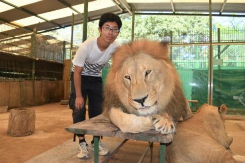 ライオンより犬が強い 南米にある世界一危険なルハン動物園で日本では味わえない体験をしよう ガジェット通信 Getnews