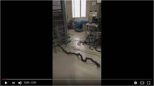 日本発のはしごをのぼるヘビ型ロボット