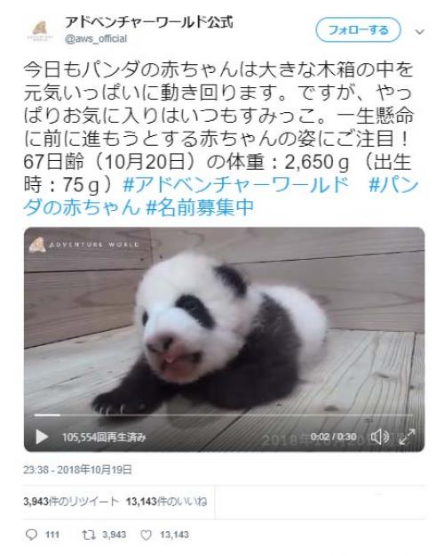 パンダの赤ちゃんはすみっこがお気に入り？　 公式動画ツイートに「どんな動きにも癒されてしまいます」パンダファン歓喜
