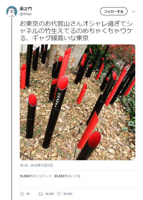 東京の代官山がオシャレすぎた結果→「シャネルの竹生えてる」「草を超えて竹」ツッコミ相次ぐ