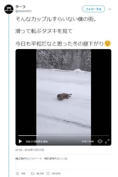 雪道で滑って転ぶタヌキの動画ツイートに「ちょっとガッカリしてる」「スタッドレス履かないから」コメント集まる