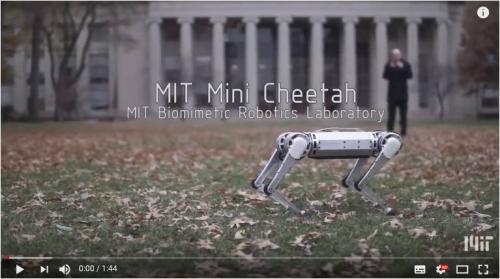 MITの『ミニ・チーター（Mini Cheetah）』が“4足歩行”ロボットとして初めてバク宙に成功