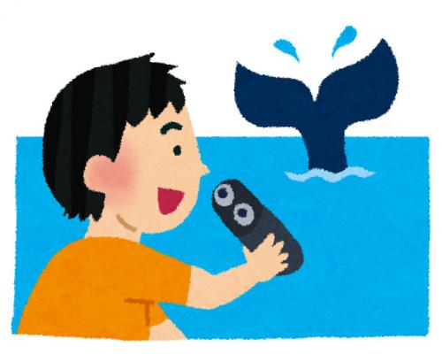 海外の反応：捕鯨でクジラを殺している日本でホエールウォッチング人口が増えているのってヘン？