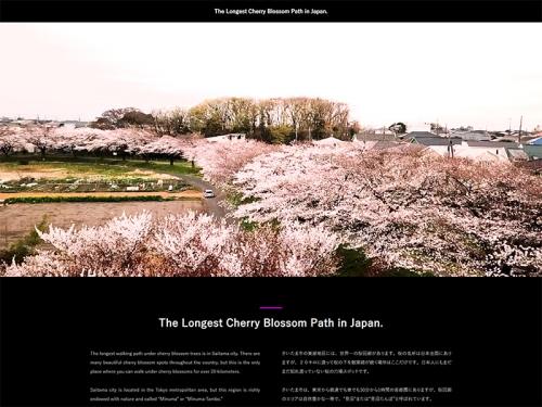 何もないはずの埼玉にこんな名所があるだと!?　全長20kmの桜回廊をドローン撮影した動画が絶景！　あまりにも絶景ですぞ～！