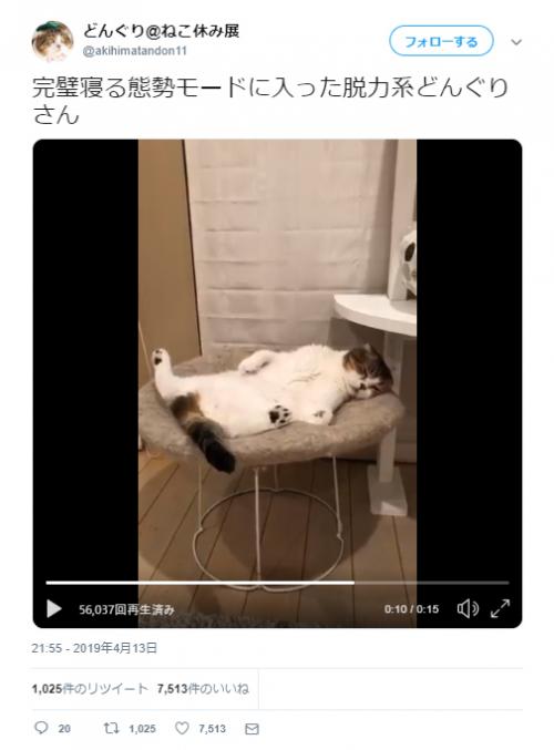 猫が寝る態勢の動画ツイートに「どう見ても、オヤジっぽい」「ごろんと気持ち良さそう」の声