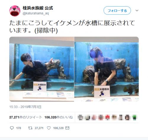 桂浜水族館公式‏の「たまにこうしてイケメンが水槽に展示されています」ツイートが「いいね！」10万超の大反響