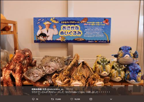 『Twitter』で話題の桂浜水族館がさかなクンプロデュースのぬいぐるみを披露！「まだひとつも売れてません」