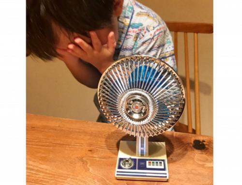 大好きな“旧式扇風機”にうれし泣き!?　3歳の男の子のかわいすぎる反応がTwitterで話題に
