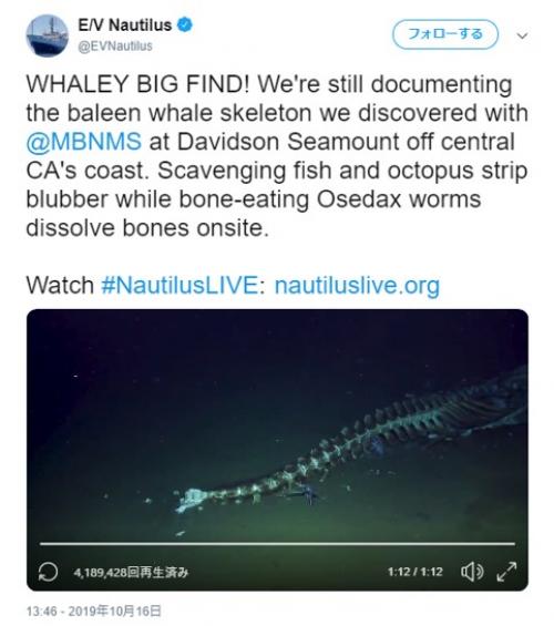 動画：クジラの死骸に群がる深海の腐肉食生物たち