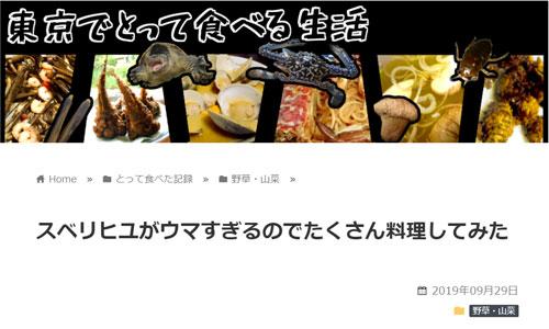 スベリヒユがウマすぎるのでたくさん料理してみた（東京でとって食べる生活）