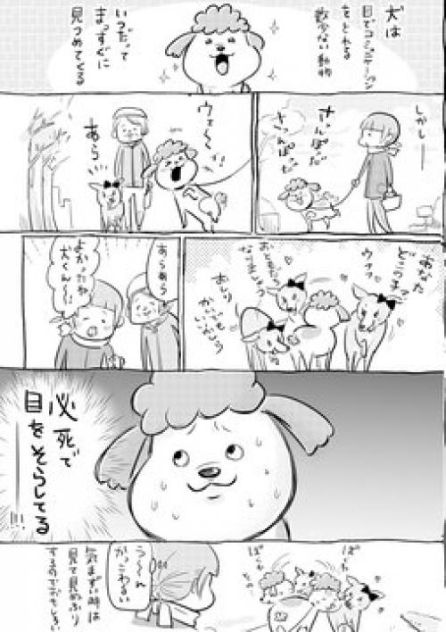 犬と猫のまなざしの違いは Twitter漫画が話題に 気まずい時は見て見ぬふりの犬 ガン見しすぎて怖い猫 ガジェット通信 Getnews
