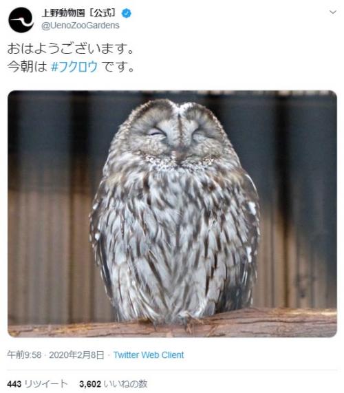 上野動物園のフクロウが「おはようございます」　ツイート投稿に「寝る時間かなぁ」「眠そう？」ツッコミの声も