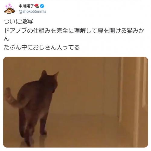 「ついに激写」「たぶん中におじさん入ってる」 中川翔子さんが愛猫の特技を公開