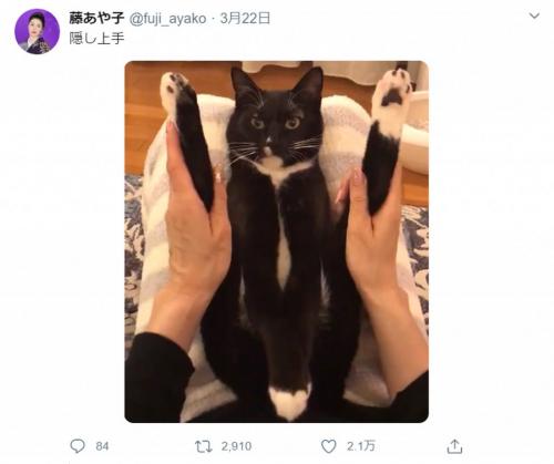 藤あや子さんが愛猫「マル」くんの特技を披露！　お手手の位置に注目