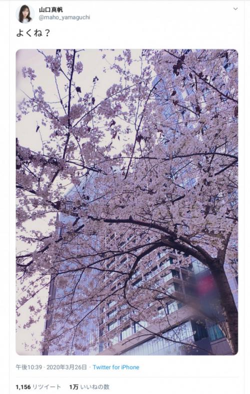 「春が来たって感じ」「フラグ立てるのやめれwwww」　 元NGT48・山口真帆さんが「よくね？」とツイート