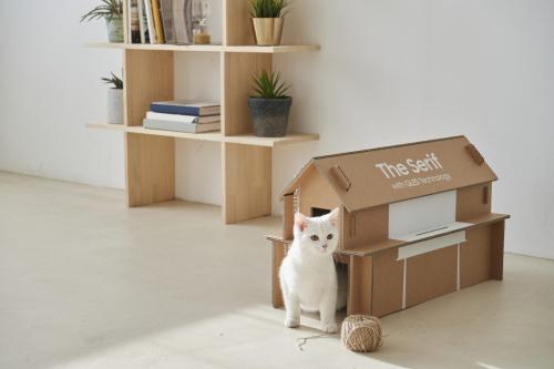 サムスン電子が“猫の家”に変貌するテレビ用エコパッケージを発表