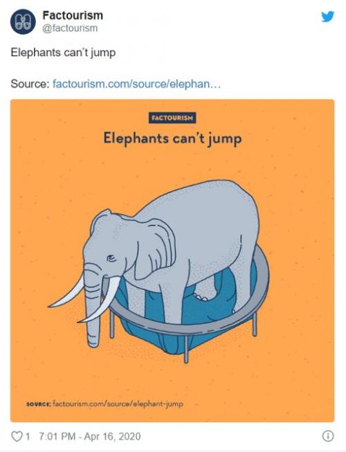 「ゾウはジャンプできない」ってウソ？ ホント？ 衝撃の事実5選