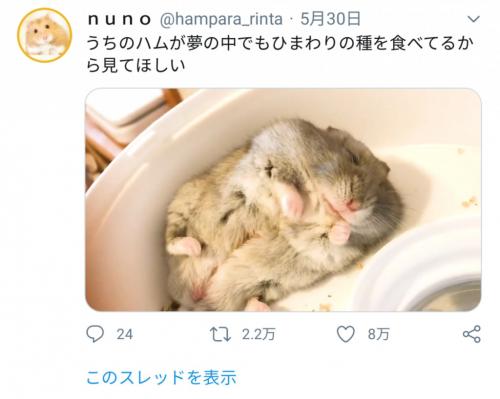 「もう食べられないよぉ〜…ムニャムニャ…」 夢の中でもひまわりの種を食べるハムスターが可愛すぎると話題に