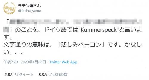 ドイツ語で「Kummerspeck（悲しみベーコン）」ってどんな意味？ 「まさに私」「悲しすぎる」との声