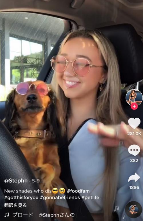 スタバの犬用ドリンク「パプチーノ」に目がないんです ダンスしながら待つワンコ
