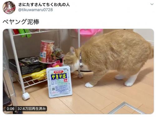 棚から器用にペヤングを引きずり出す“ペヤング泥棒”な猫がかわいすぎる！ 盗んだあとはリビングに放置（笑）