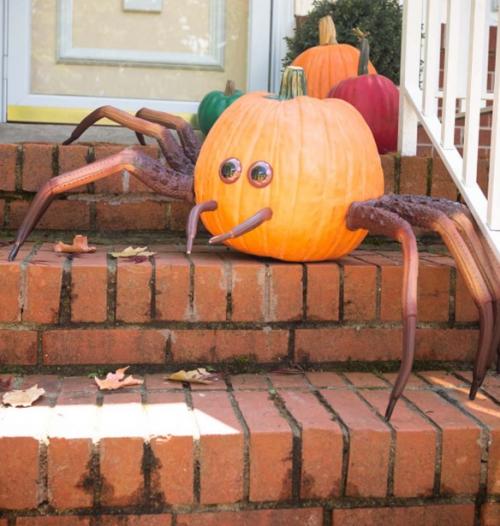 ハロウィンのかぼちゃを激変させるアイテム クモらしいけどカニにしか見えない