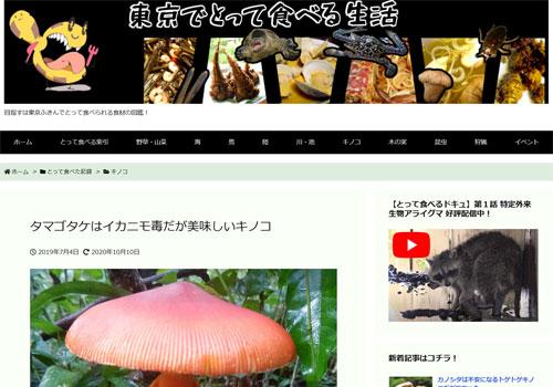 タマゴタケはイカニモ毒だが美味しいキノコ（東京でとって食べる生活）