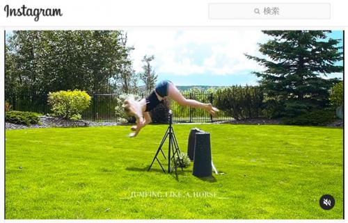 馬みたいにジャンプする映像だけを投稿するカナダのインスタグラマー 「何この動画」「オリンピック競技になってもいいんじゃない」