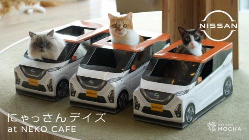 「にゃっさんデイズ」が猫カフェ「MOCHA」とコラボ中！　 カッコかわいいドライビング姿を愛でよう
