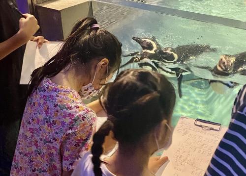 すみだ水族館「夏の自由研究超サポート制度」が神企画だった！　ペンギンはお風呂に入る？何時に寝るの？ 飼育員さんと一緒に観察