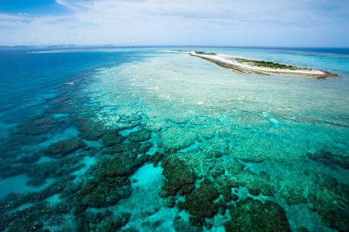 【実は日本が世界一】地球で「最北のサンゴ礁」が冷たい日本海に存在した!?
