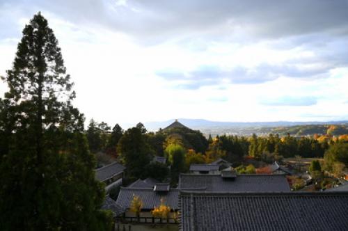 【奈良市】 写真映えする「新・南都八景」撮影スポット、世界遺産登録25周年で制定