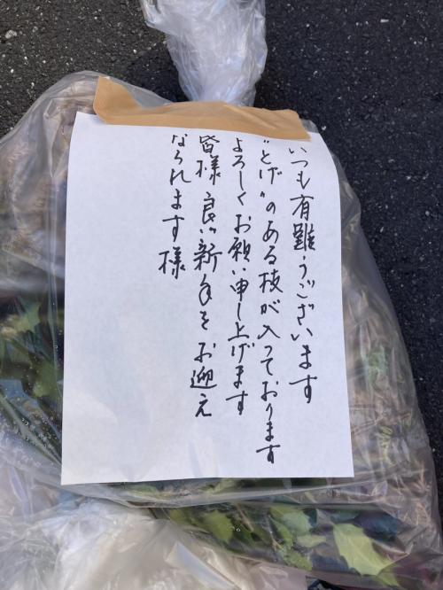 ゴミ清掃員からお願い→ 植物を捨てるときは「こうしてくれると嬉しい」