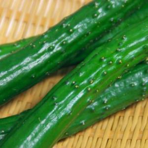 実はジャーサラダも危険 死亡するケースもある野菜の食中毒 ガジェット通信 Getnews