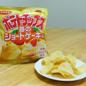 検証 おかんがコレ朝食に出したらあかんやろ 本物のトースト 牛乳と ポテトチップス トースト味 ポテトチップス 牛乳味 を食べ比べてみた ガジェット通信 Getnews