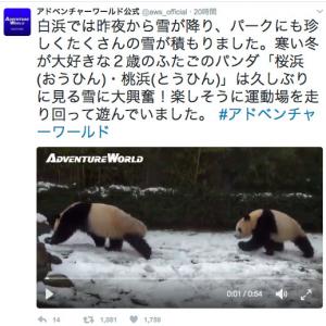 和歌山 こんなにアクティブなパンダは初めて アドベンチャーワールド 現地特派員レポート ガジェット通信 Getnews