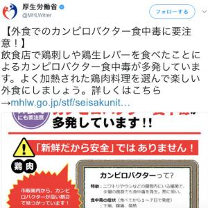実はジャーサラダも危険 死亡するケースもある野菜の食中毒 ガジェット通信 Getnews