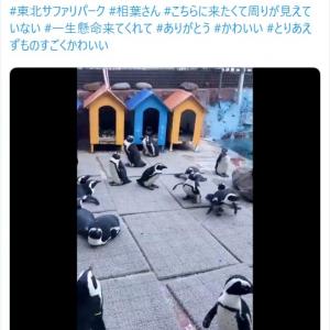 今なら炎上 放送ng 嵐のやばすぎる Uso 過去映像に 衝撃的すぎ 本当に笑えない 軽くトラウマ 大野智も 終わったと思った ガジェット通信 Getnews