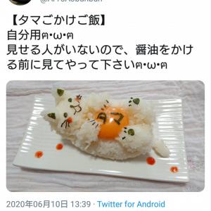 ネットユーザーがオススメする 卵かけご飯にプラスすると美味しい食材 ガジェット通信 Getnews