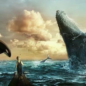 海中最強の生き物はシャチ その強さを追求 ガジェット通信 Getnews