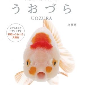 かっこいい 魚の 名前 新しい壁紙明けましておめでとうございます21